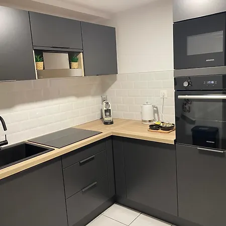 Le Palmier Apartment Colmar