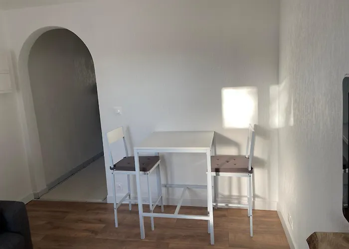 公寓 Le Palmier 科尔马