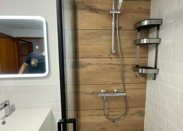 Le Palmier * 科尔马