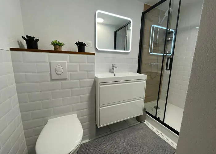 Le Palmier * 科尔马