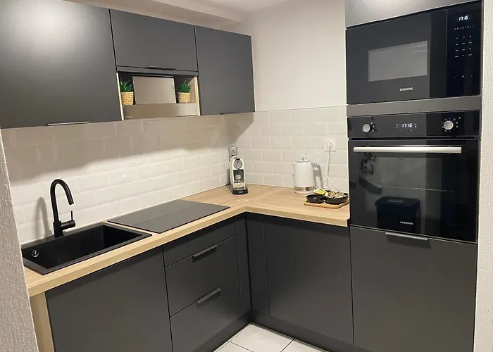 Le Palmier 公寓 科尔马