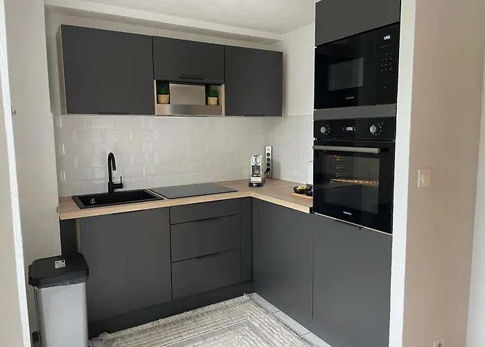 公寓 Le Palmier 科尔马